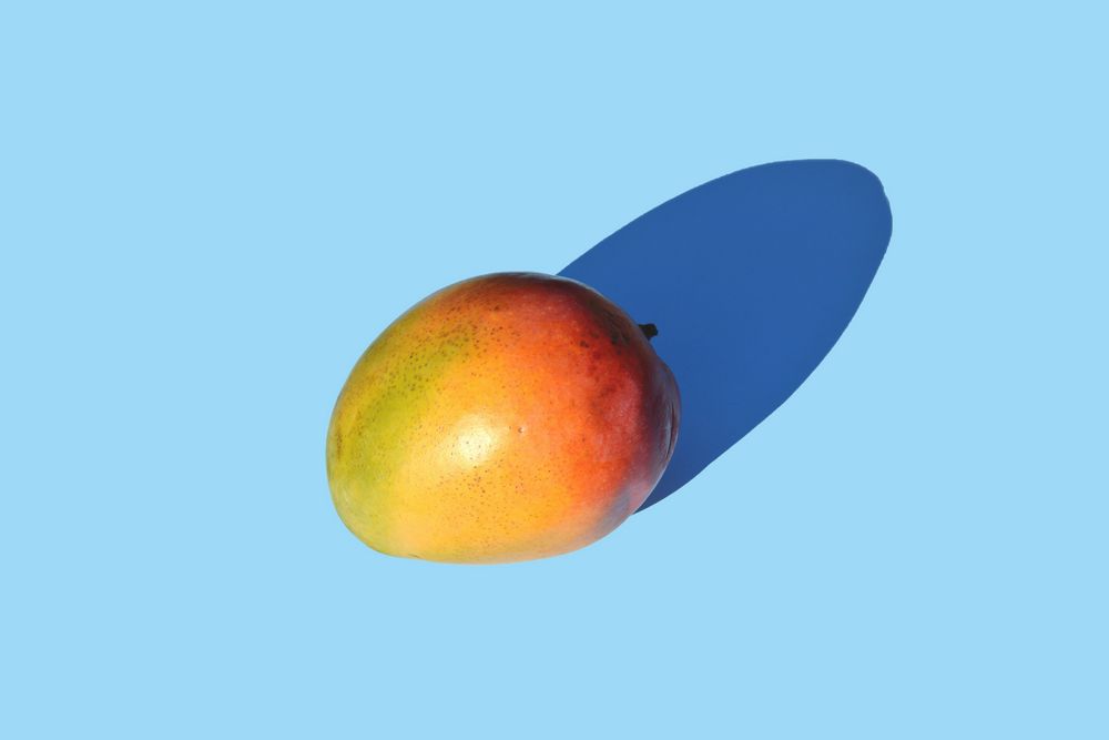 Captured by STUDIO S2